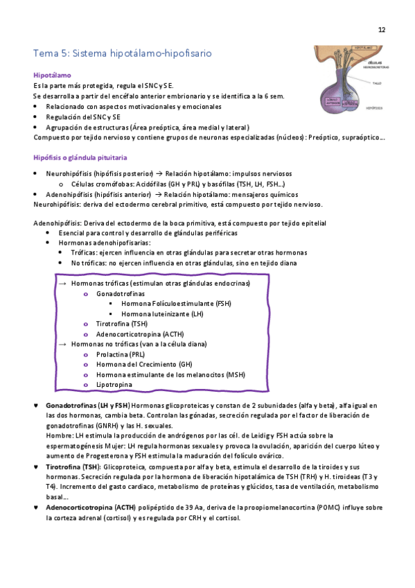 Miniatura del documento Biologia-del-comportamiento-T-6-y-7.pdf