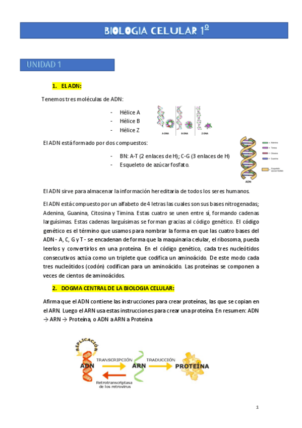 Miniatura del documento U-1.BIOLOGIA-CELULAR.pdf