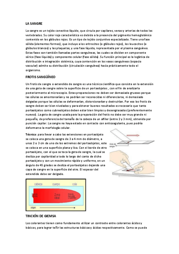 Miniatura del documento LA-SANGRE.pdf
