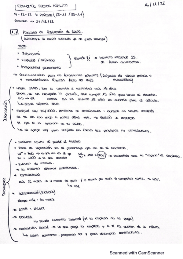 Miniatura del documento programa-d-sustitucion-de-renta-tema-5.pdf