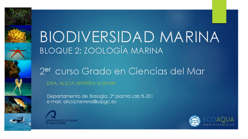 Miniatura del documento Practicas-de-Cnidarios2.pdf