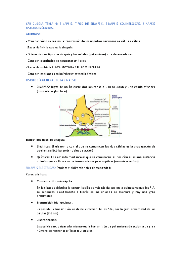 Miniatura del documento FISIOLOGIA-TEMA-4.pdf