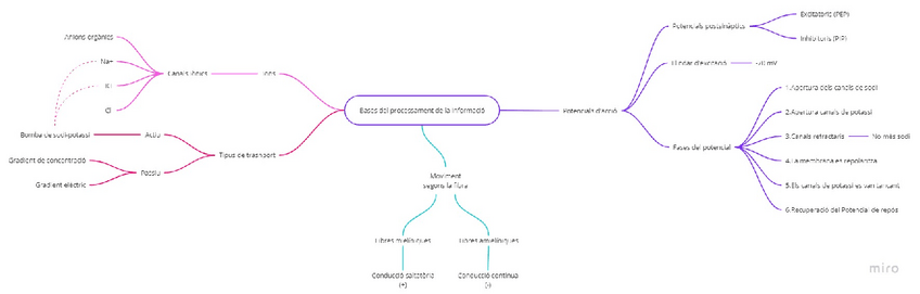 Miniatura del documento Mapa-Conceptual-Tema-6-Bases-del-processament-de-la-informacio.pdf
