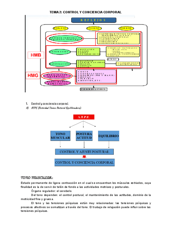 Miniatura del documento TEMA-2-MOTRICIDAD.pdf