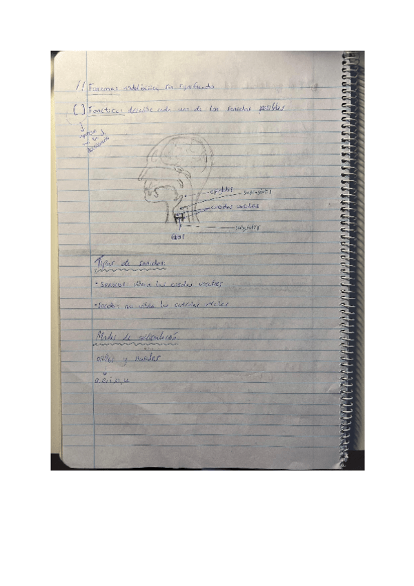 Miniatura del documento Fonetica-y-Fonologia.pdf