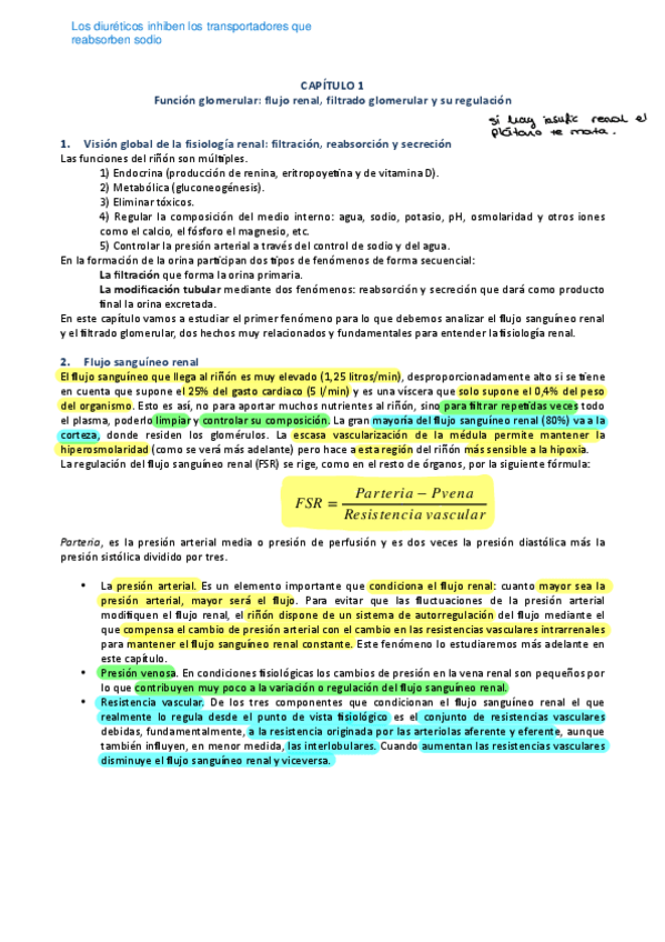 Miniatura del documento Apuntes-fisiologia-renal.pdf