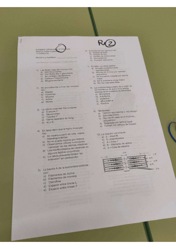 Miniatura del documento SEGUNDO-PARCIAL-HISTO.pdf