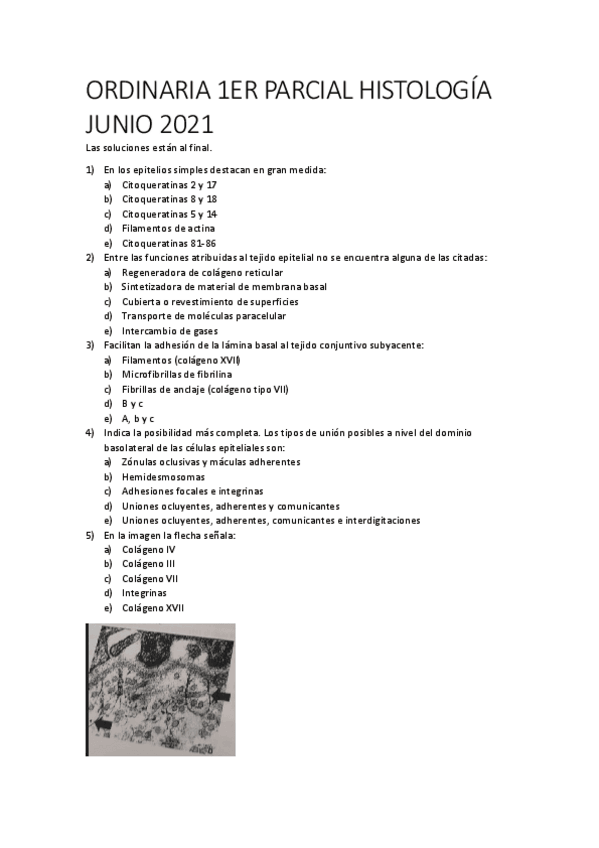 Miniatura del documento ORDINARIA-PRIMER-PARCIAL-HISTOLOGIA-JUNIO-2021.pdf
