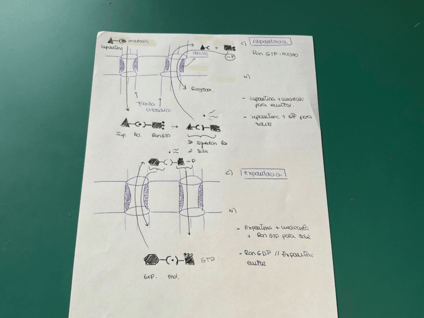 Miniatura del documento Exportina-y-importina.pdf