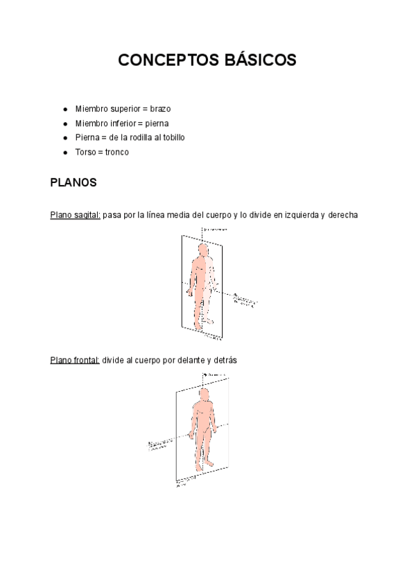 Miniatura del documento ANATOMIA-COMPLETO.pdf