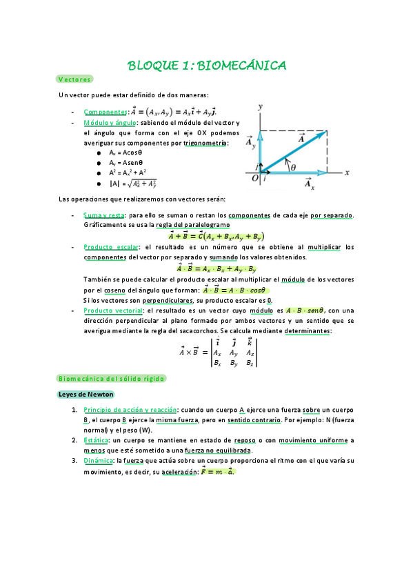Miniatura del documento BLOQUE-1-BIOMECANICA.pdf