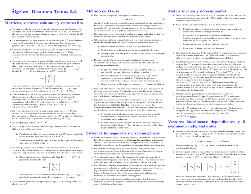Miniatura del documento resumentemas0-8.pdf