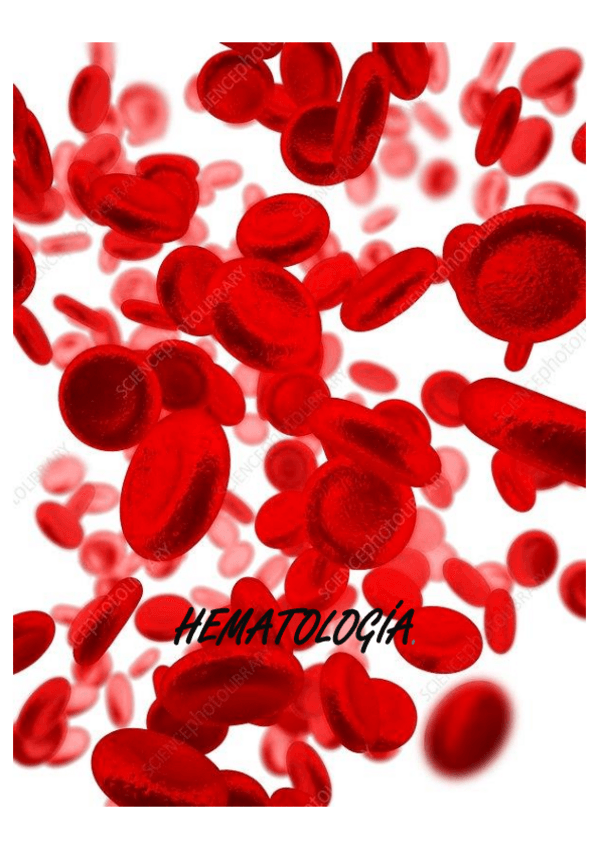 Miniatura del documento HEMATOLOGIA 20 - 21.pdf