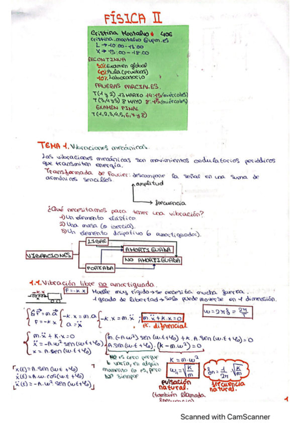 Miniatura del documento FISICA2.Tema-1.pdf
