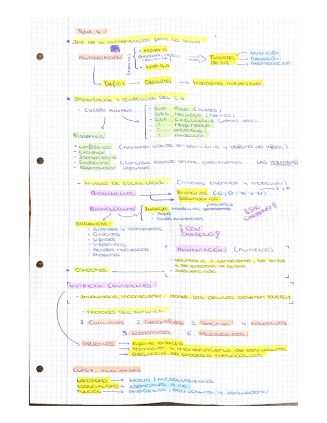Miniatura del documento T4-nutricion.pdf