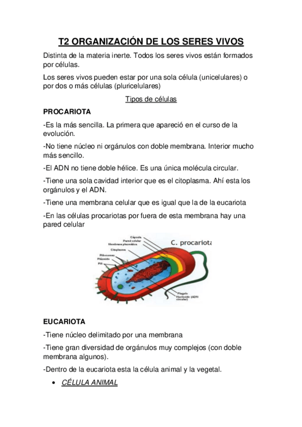 Miniatura del documento TEMA-2-ORGANIZACION-DE-LOS-SERES-VIVOS.pdf