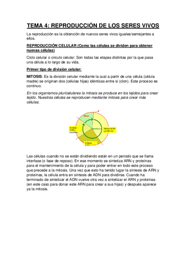 Miniatura del documento TEMA-4.pdf