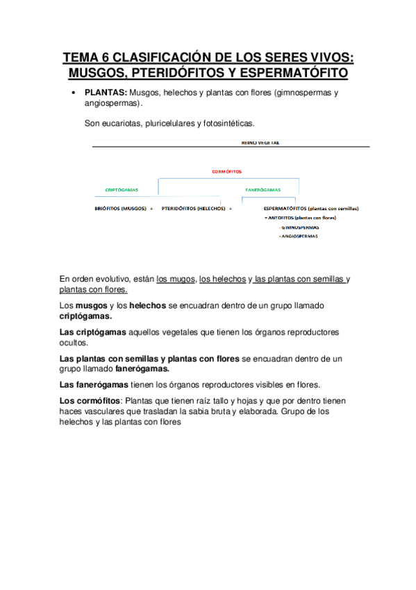 Miniatura del documento TEMA-6-CLASIFICACION-DE-LOS-SERES-VIVOS-II.pdf