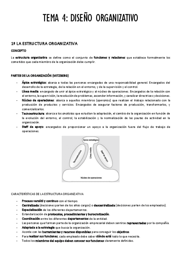 Miniatura del documento TEMA-4-DISENO-ORGANIZATIVO.pdf