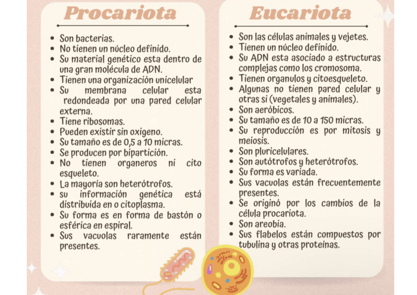 Miniatura del documento Celulas-Procariotas-Y-Eucariotas.pdf