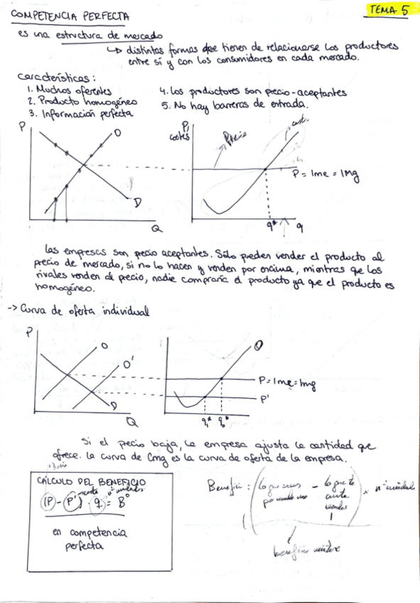 Miniatura del documento tema-5.pdf