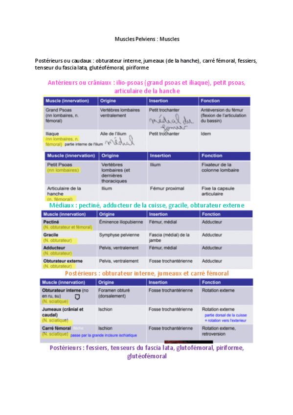 Miniatura del documento Muscles-Pelviens.pdf