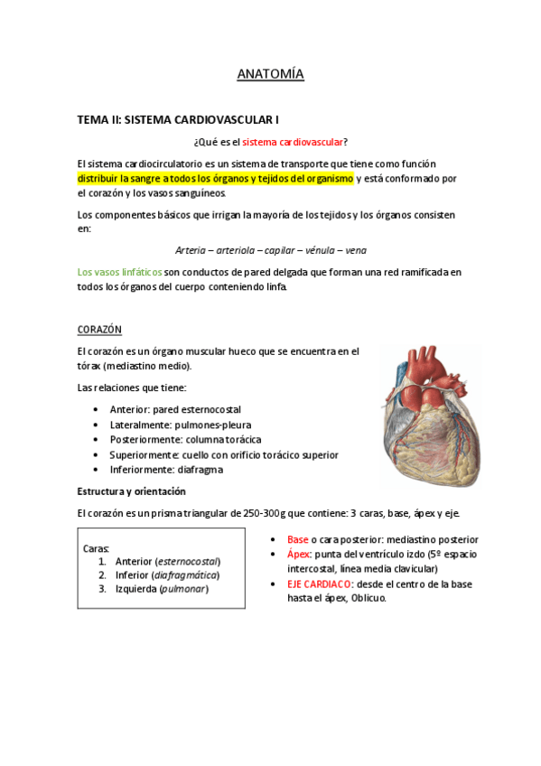 Miniatura del documento APARATO-CARDIOVASCULAR.pdf