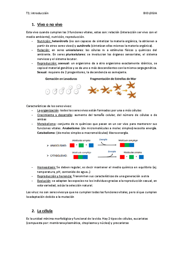 Miniatura del documento Tema-1-introduccion.pdf