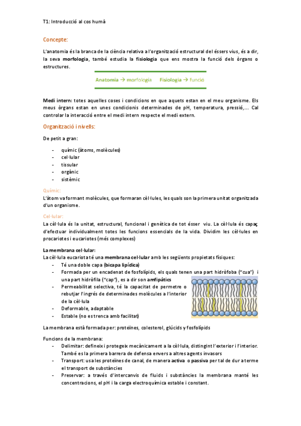 Miniatura del documento T1.-introduccio-al-cos-huma.pdf