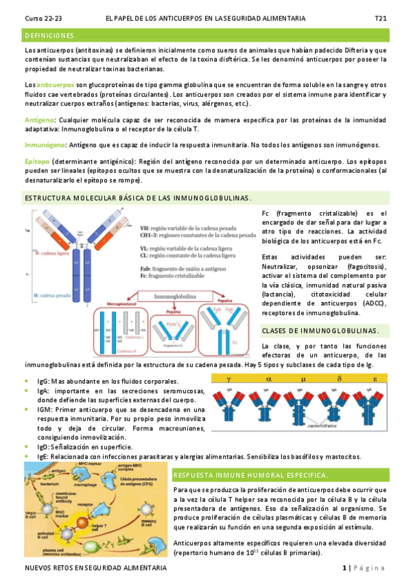 Miniatura del documento T21.pdf