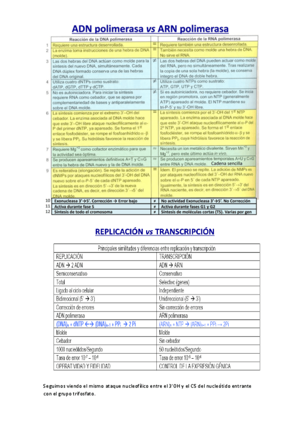 Miniatura del documento comparaciones-replic-trans-trad.pdf