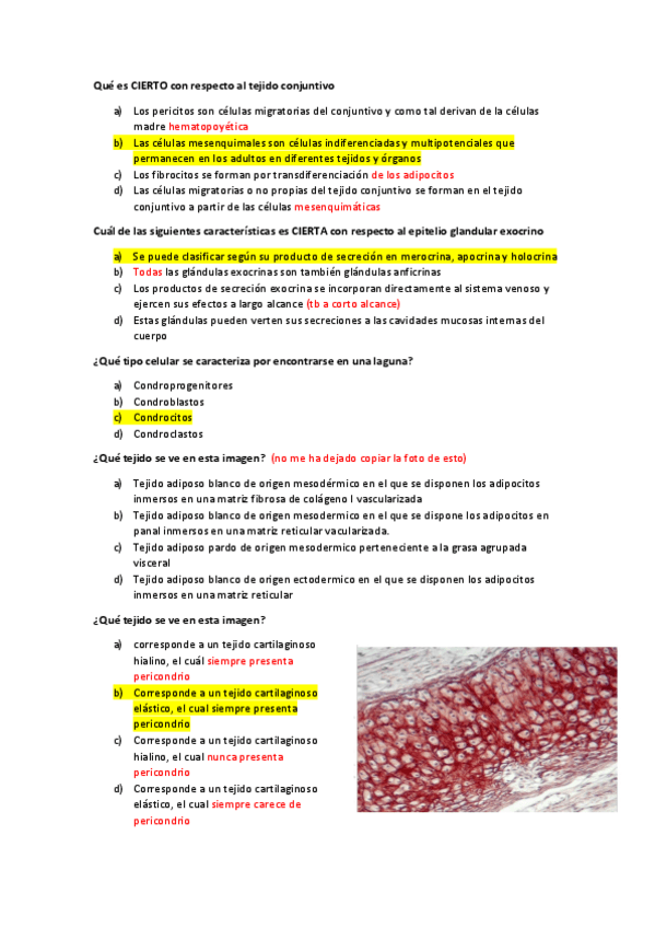 Miniatura del documento Test-prueba-1o-parcial.pdf