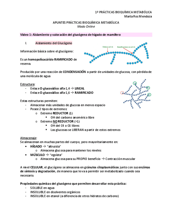 Miniatura del documento APUNTES-PRACTICAS-BIOQUIMICA-METABOLICA-ONLINE.pdf