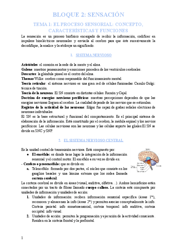 Miniatura del documento BLOQUE-2-SPA-SENSACION.pdf