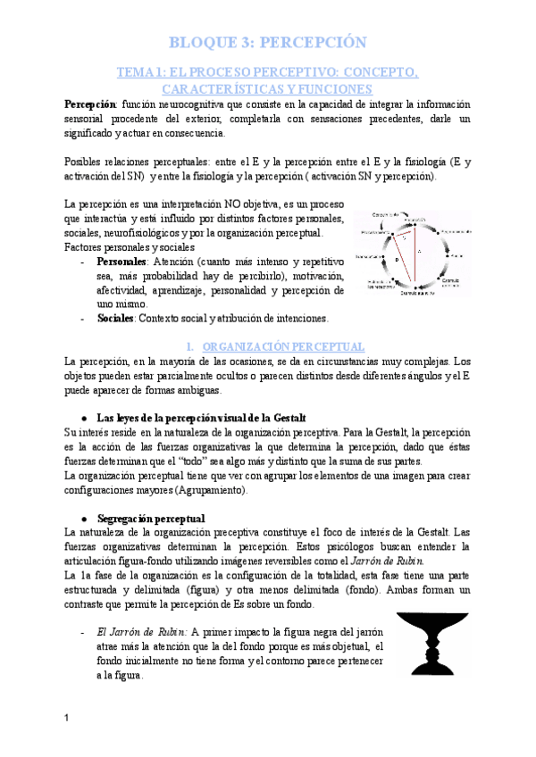 Miniatura del documento BLOQUE-3-SPA-PERCEPCION.pdf