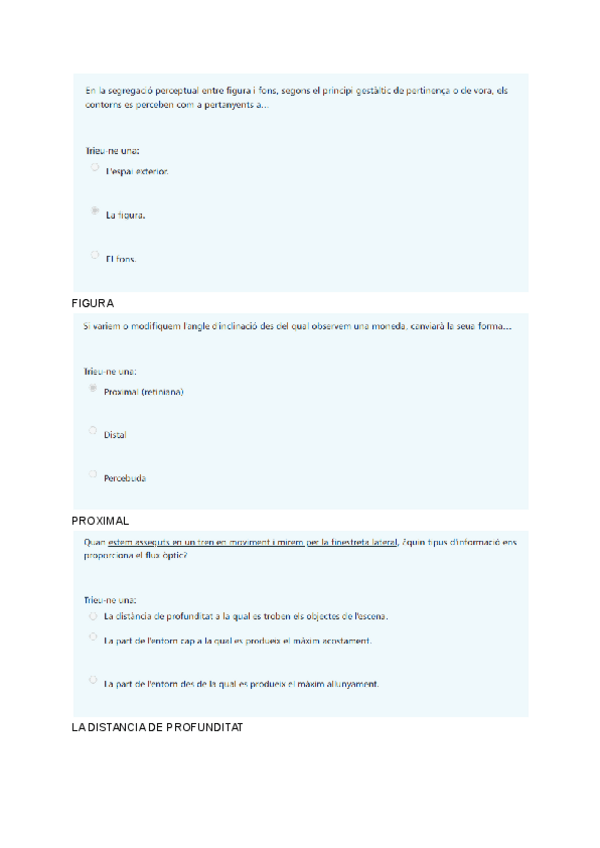Miniatura del documento Preguntas-cuestionario-corregido.pdf
