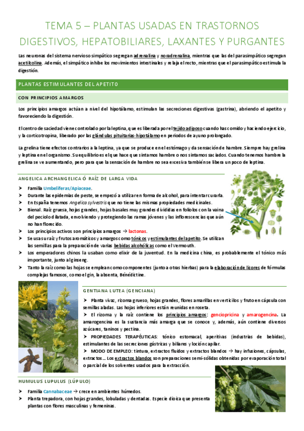 Miniatura del documento TEMA-5-Plantas-usadas-en-trastornos-digestivos-hepatobiliares-laxantes-y-purgantes.pdf