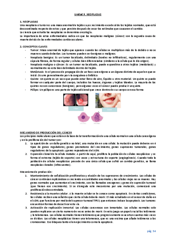 Miniatura del documento unidad-9.pdf