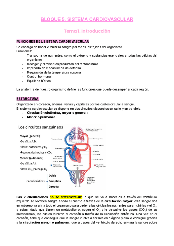 Miniatura del documento B5-S.cardiovascular-2022.pdf