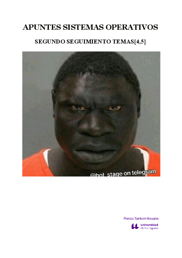 Miniatura del documento APUNTES-TEMA-4-y-5-SISTEMAS-OPERATIVOS.pdf