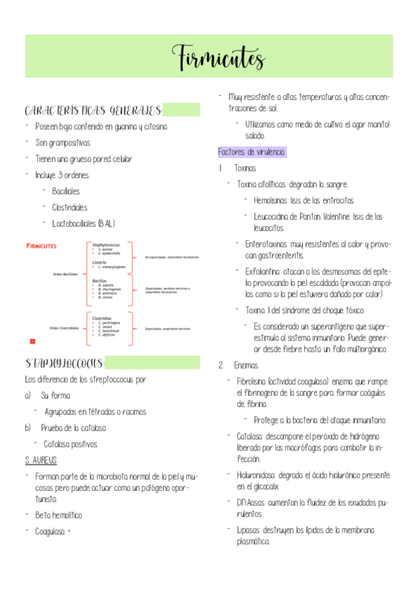 Miniatura del documento Firmicutes.pdf