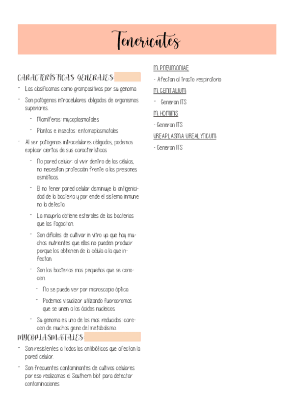 Miniatura del documento Tenericutes.pdf