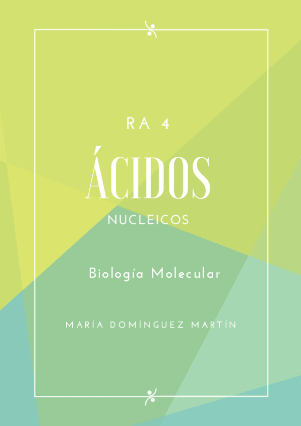 Miniatura del documento Resumen-RA4.pdf