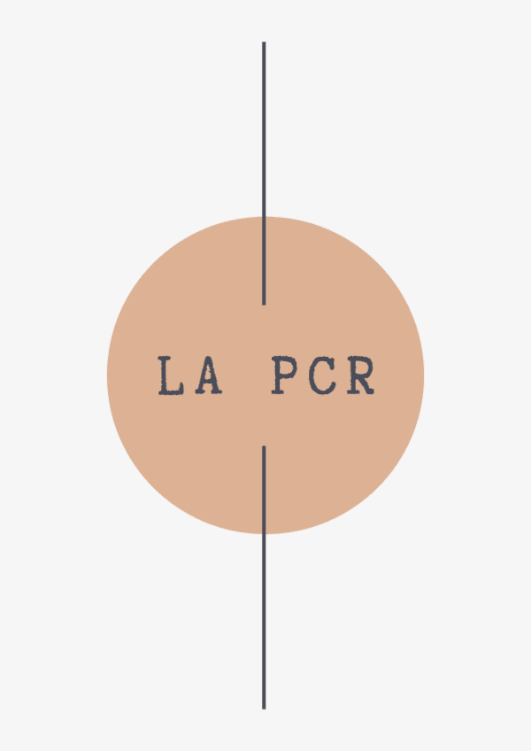 Miniatura del documento Resumen-La-PCR.pdf
