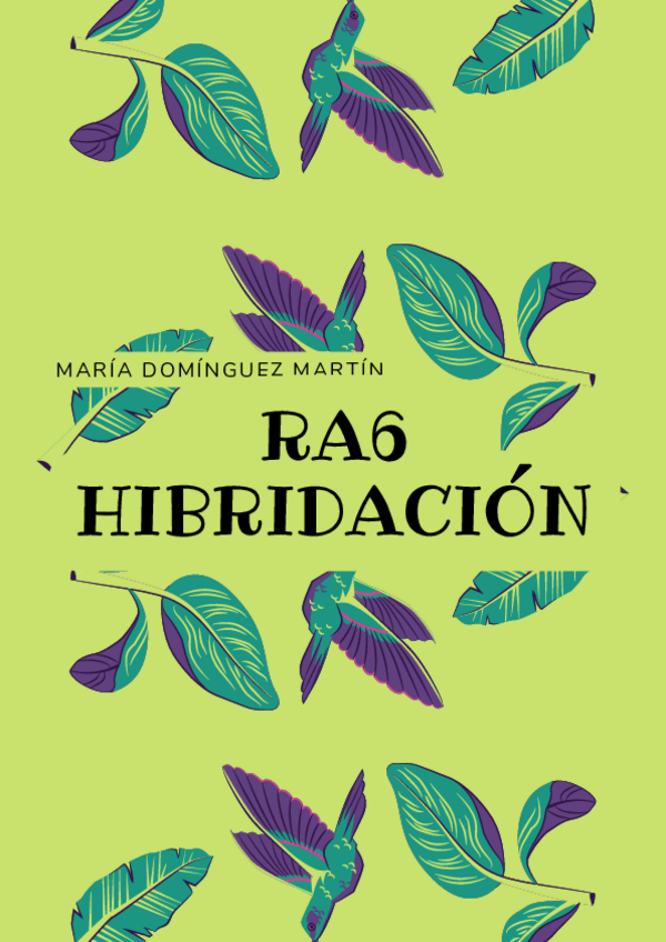 Miniatura del documento RA6-Hibridacion.pdf