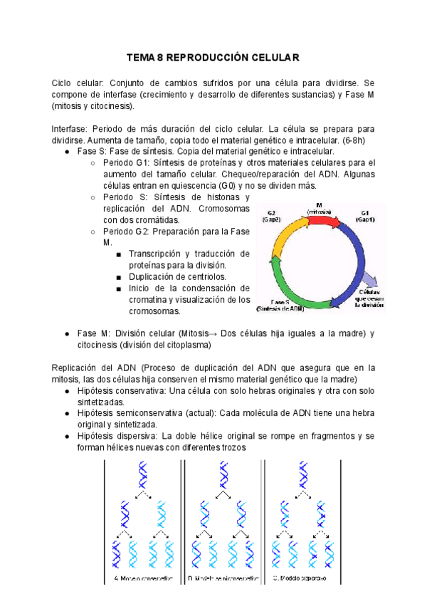 Miniatura del documento TEMA-8-REPRODUCCION-CELULAR.pdf