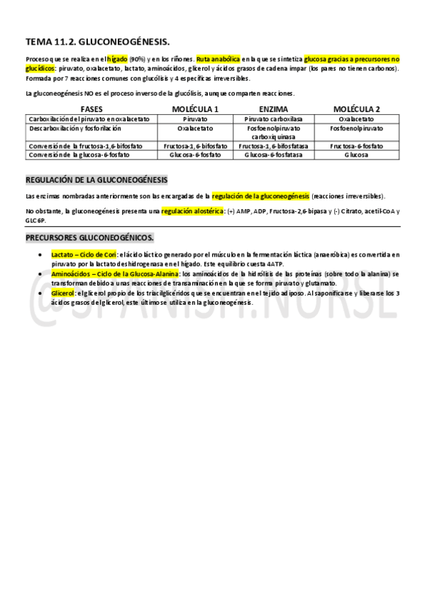 Miniatura del documento Tema-11.2.-Gluconeogenesis.pdf