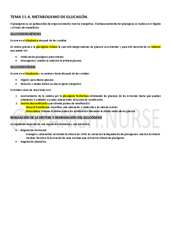 Miniatura del documento TEMA-11.4.-Metabolismo-del-glucagon.pdf