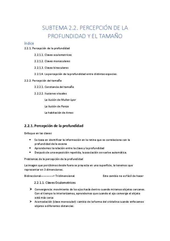 Miniatura del documento Subtema-2.2.Percepcion-de-la-profundidad-y-el-tamano.pdf