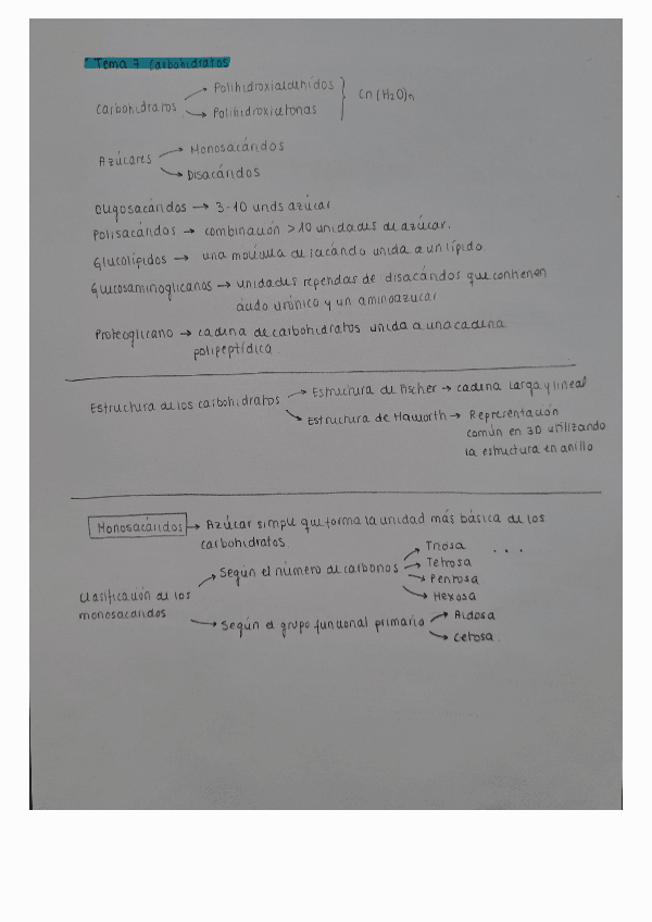 Miniatura del documento Esquemas-resumidos-del-tema-7.-Carbohidratos.pdf